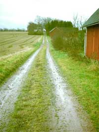 H�stturn� 2004 del II ... (lund k�penhamn malm� visby)