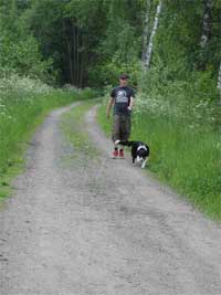 Sommarturn� 2005 del III ... (halmstad landskrona link�ping v�nersborg j�rna)