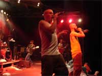 Sommarturn� 2005 del IX ... (gbgkalaset sk�vde malm�)